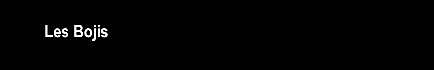 
         Les Bojis

